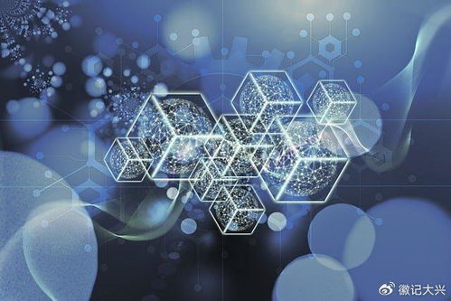 信用飞金融 区块链技术如何重塑信息与信用的交汇点